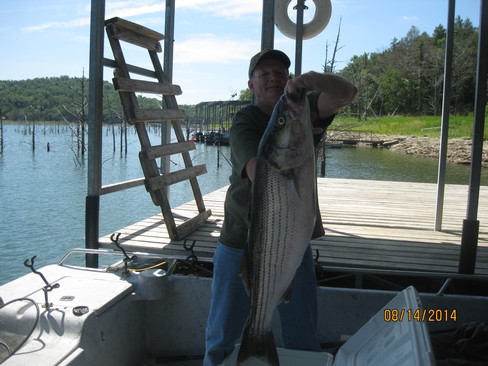 Nice Striped Bass